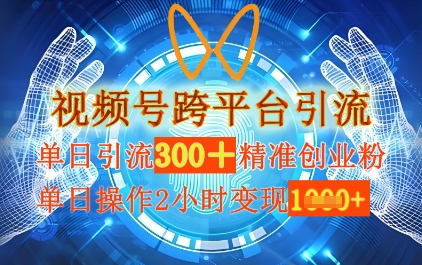 视频号跨平台引流，单日操作2小时，单日引流300+精准创业粉，单日变现数张-辰风资源站