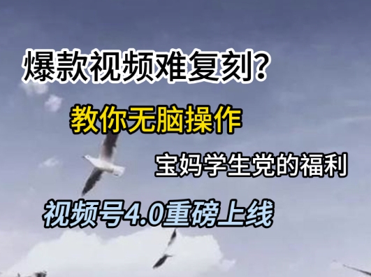 视频号4.0重磅上线，爆款视频难复刻？教你无脑操作宝妈学生党的福利【揭秘】-辰风资源站