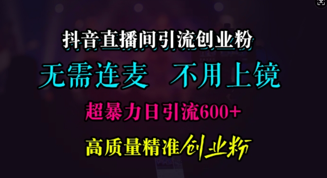 抖音直播间引流创业粉，无需连麦、无需上镜，超暴力日引流600+高质量精准创业粉【揭秘】-慕云辰风博客