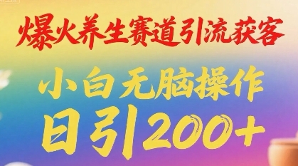 爆火养生赛道引流获客，小白无脑操作，日引200+-辰风资源站