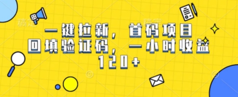 一键拉新，首码项目，回填验证码，一小时收益1张-辰风资源站