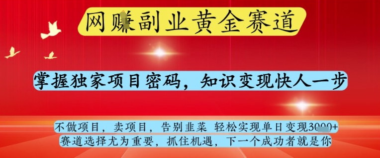 网创副业黄全赛道，掌握独家项目密码，知识变现快人一步，告别韭菜轻松实现单日变现1k+【揭秘】-辰风资源站