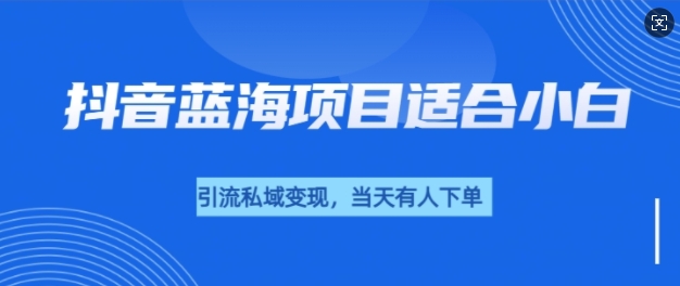 抖音蓝海小赛道私域变现项目，单价9.9单天变现100+，实操玩法分享给你-辰风资源站