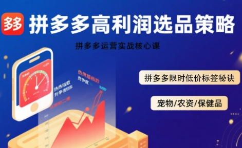 拼多多选品暴利技术实战课，拼多多高利润选品策略，拼多多限时低价标签秘诀-辰风资源站