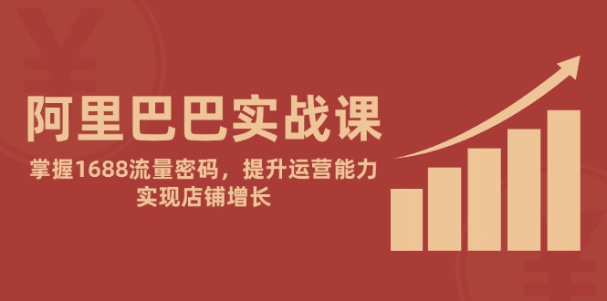 （14830期）阿里巴巴实战课：掌握1688流量密码，提升运营能力，实现店铺增长-辰风资源站