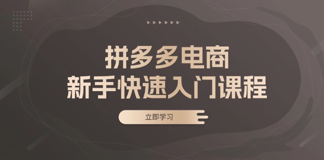 （13289期）拼多多电商新手快速入门课程：涵盖基础、实战与选款，助力小白轻松上手-慕云辰风博客