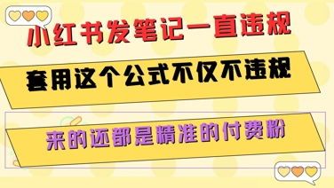 小红书发笔记一直违规，套用这个公式不仅不违规，来的还都是精准的付费粉-辰风资源站