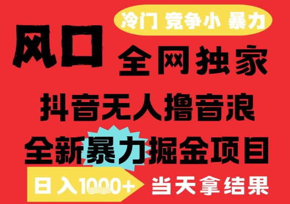 25年6月高爆抖音无人直播最新撸音浪掘金项目，解放双手小白可做，无脑日入1k+，门槛低【揭秘】-辰风资源站