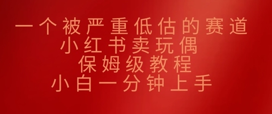 一个被严重低估的赛道，小红书卖玩偶，保姆级教程，小白一分钟上手-辰风资源站