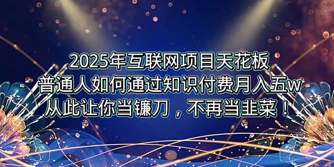 （15354期）2025年互联网项目天花板，普通人如何通过卖项目实现逆风翻盘，月入5W＋！-辰风资源站