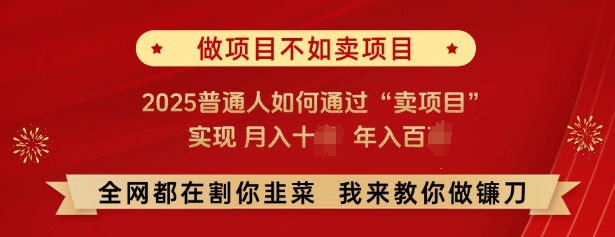 必看，做项目不如卖项目，2025普通人如何通过“卖项目”实现月入十个，年入百个-慕云辰风博客