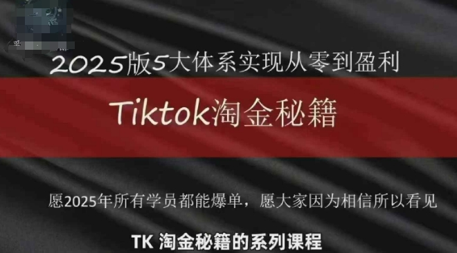 TikTok跨境2025淘金秘籍，​2025TikTok从0到盈利变现-辰风资源站