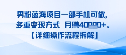8月新男粉蓝海项目一部手机可做，多重变现方式 月入4W+【详细操作流程拆解】-辰风资源站