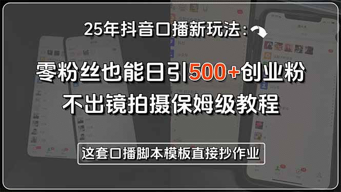 （15384期）25年抖音口播新玩法：零粉丝也能日引500+创业粉，不出镜拍摄保姆级教程…-辰风资源站