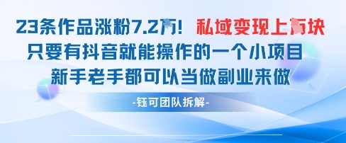 抖音私域项目23条作品涨粉7.2W，私域变现1W-辰风资源站