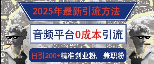 2025年最新引流方法，音频平台0成本引流，日引200+精准创业粉-慕云辰风博客