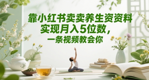 靠小红书卖养生资料实现月入5位数，一条视频教会你-辰风资源站