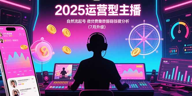 （15508期）2025运营型主播：自然流起号，微付费投放技巧，罗盘数据深度解析(7月更新)-辰风资源站