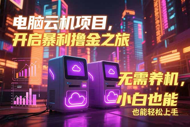 （15323期）电脑云机项目 暴力撸金玩法，不需要养机 配置没有要求 单机100个窗口一…-辰风资源站