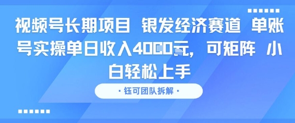视频号长期项目 银发经济赛道 单账号实操单日收入1k，可矩阵 小白轻松上手-辰风资源站