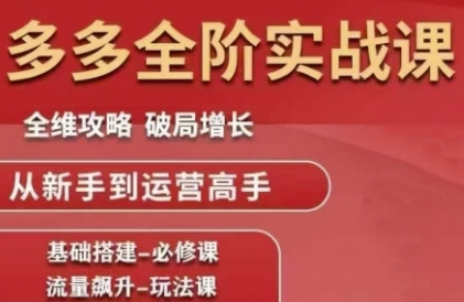 拼多多全阶实战课程，全维攻略，破局增长，从新手到运营高手-辰风资源站