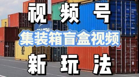 视频号新玩法，利用老外开集装箱盲盒视频，挣分成计划收益，月入过W，新手小白轻松上手-辰风资源站