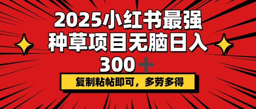 （14375期）2025小红书最强种草项目，无脑日入300+，复制粘帖即可，多劳多得-慕云辰风博客