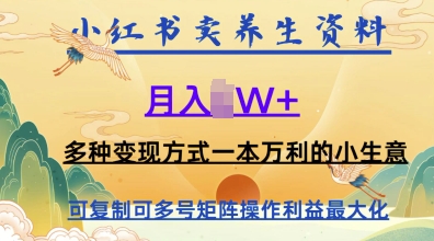 在小红书上卖养生资料，月入1w+，多种变现方式一本万利的小生意-辰风资源站