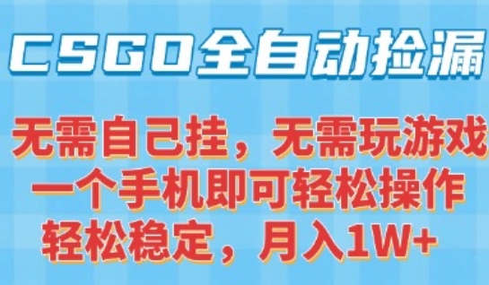 CSGO自动捡漏项目，最新独家玩法，一个手机可操作，新手小白轻松月入1W+，操作简单易上手【揭秘】-辰风资源站
