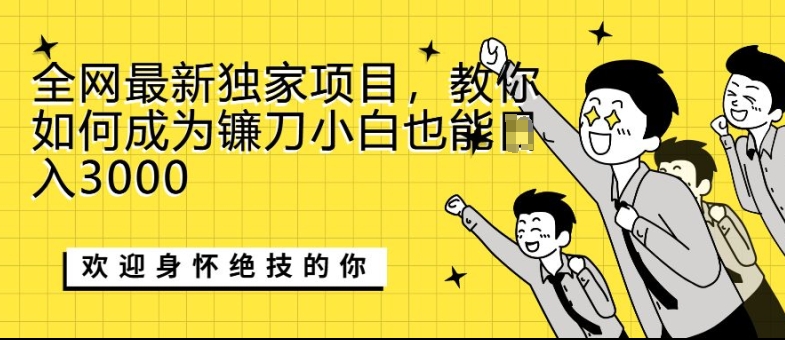 全网最新独家项目，教你如何成为镰刀小白也能日入上K-慕云辰风博客