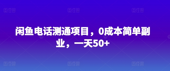 闲鱼电话测通项目，0成本简单副业，一天50+-慕云辰风博客