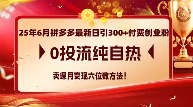 （14989期）25年6月拼多多最新日引300+付费创业粉，0投流纯自热 卖课月变现六位数方法-辰风资源站