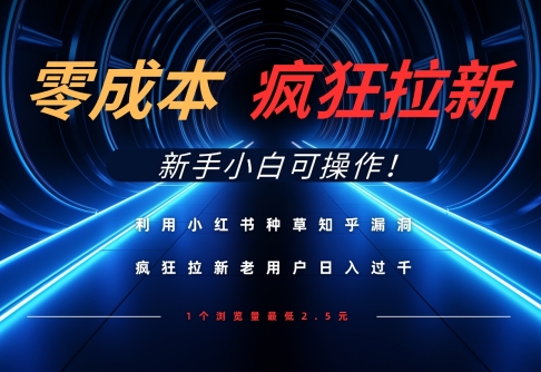 利用小红书种草知乎漏洞，零成本疯狂拉新日入数张，新手小白可操作-辰风资源站