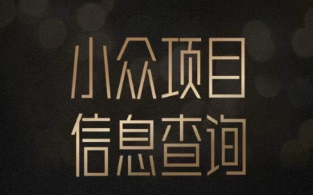 小众蓝海项目情感查询，女粉暴力掘金，轻松日入500+【揭秘】-辰风资源站