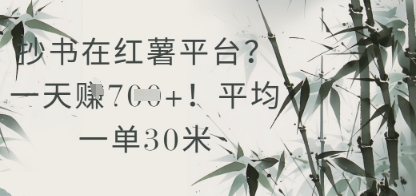 抄书在小红薯平台？平均一单30米，一天收益几张！-辰风资源站