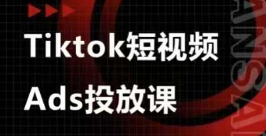 Ads视频投放课，tiktok短视频广告投放课-辰风资源站