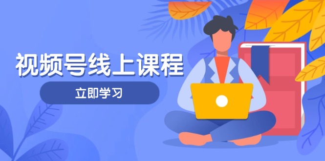 （14360期）视频号实战课程，轻IP打造与运营技巧，掌握核心方法与策略-辰风资源站