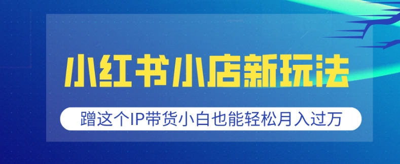 小红书小店新玩法，蹭这个IP带货，小白也能轻松月入过W【揭秘】-慕云辰风博客