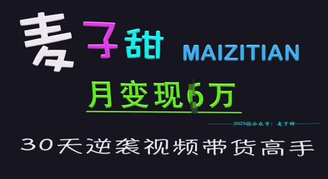 麦子甜30天逆袭视频带货高手，单月变现6W加特训营-慕云辰风博客