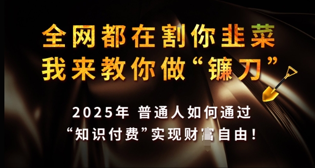 全网都在割你韭菜，我来教你做镰刀，2025年普通人如何通过 知识付费 实现财F自由【揭秘】-慕云辰风博客