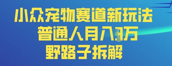 小众宠物赛道新玩法，普通人月入过1W的野路子拆解-辰风资源站