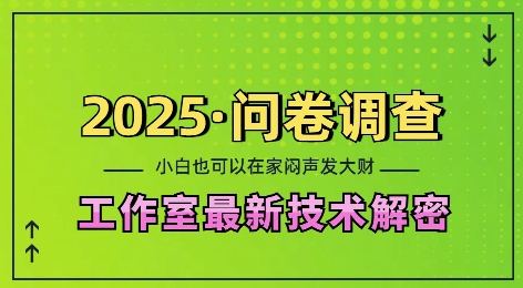 2025问卷调查最新工作室技术解密：一个人在家也可以闷声发大财，小白一天2张，可矩阵放大【揭秘】-慕云辰风博客