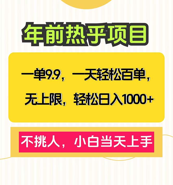 （13795期）一单9.9，一天百单无上限，不挑人，小白当天上手，轻松日入1000+-慕云辰风博客