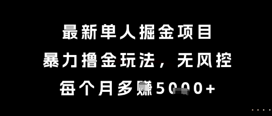 最新单人掘金项目，暴力撸金玩法，无风控，每个月多挣5k+【揭秘】-辰风资源站