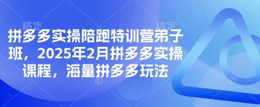 拼多多实操陪跑特训营弟子班，2025年2月拼多多实操课程，海量拼多多玩法-慕云辰风博客