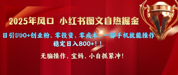 25年风口小红书图文掘金，日引300+创业粉、零投资、零成本、一部手机就能操作-慕云辰风博客