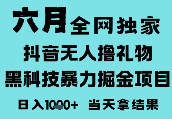 25年6月高爆抖音无人直播最新撸音浪掘金项目，门槛低小白可做，无脑日入1k，可矩阵放大【揭秘】-辰风资源站