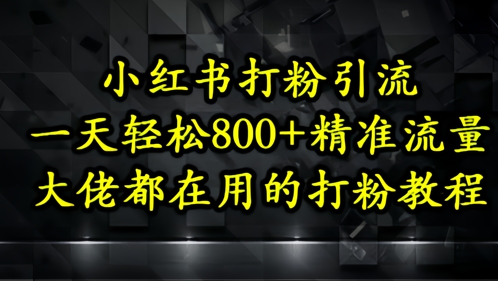 小红书打粉引流，一天轻松500+精准流量，大佬都在用的打粉教程-辰风资源站