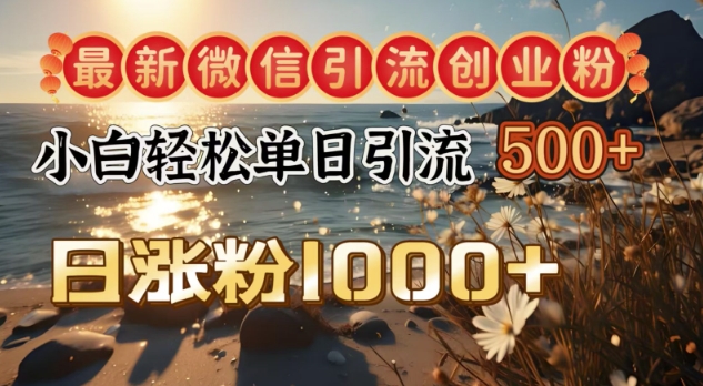 最新微信引流创业粉，小白单日轻松引流500+，日涨粉1000+-慕云辰风博客