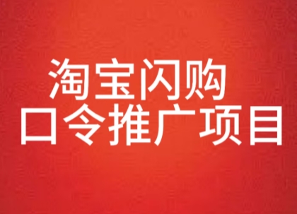 淘宝闪购口令推广项目，收益可观，一部手机，一个抖音号即可操作-辰风资源站